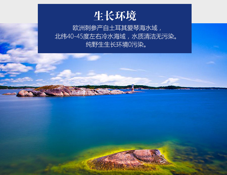 TB2qzETnpXXXXarXpXXXXXXXXXX_!!381646526