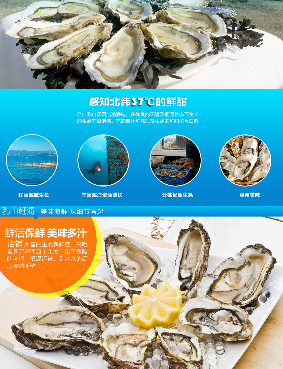 TB25pQsbb5K.eBjy0FnXXaZzVXa_!!2681108392