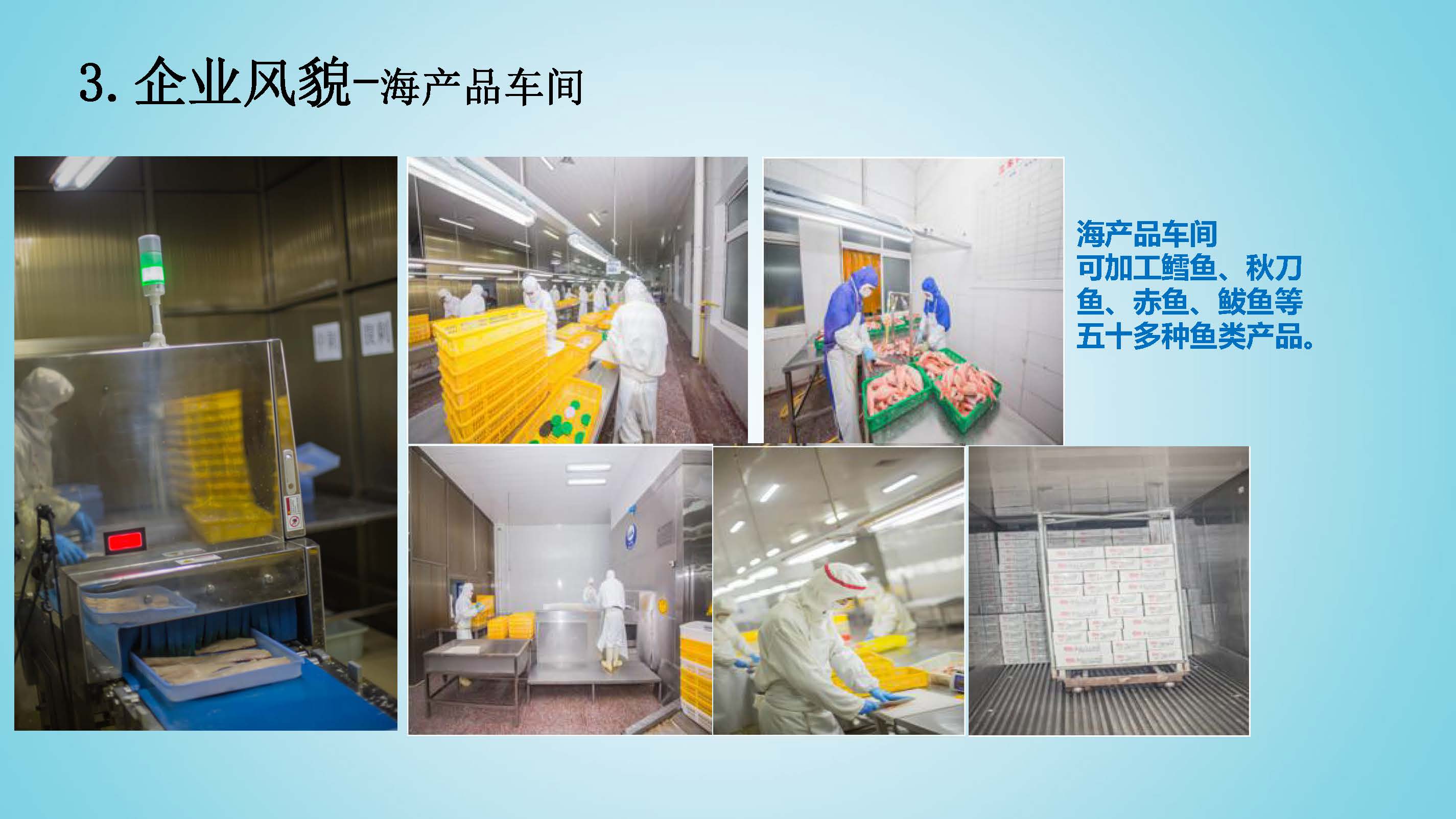 乳山振華海洋簡介_頁面_10